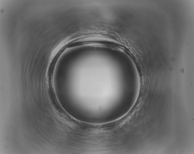 X0000073730246200608031337