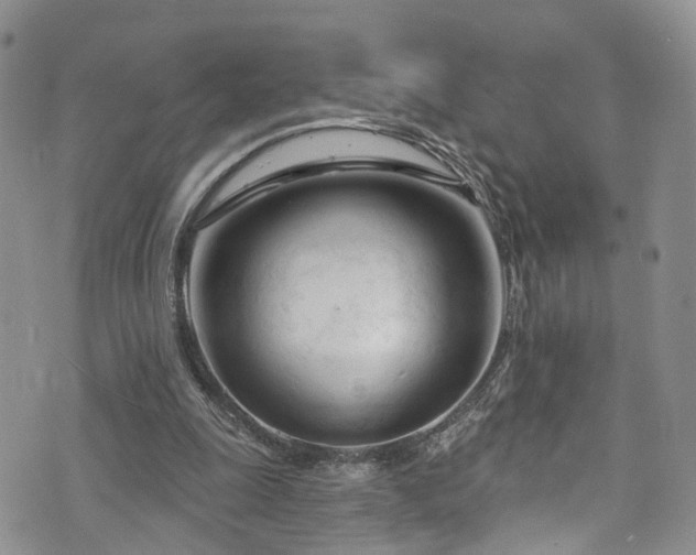 X0000073730247200608031337