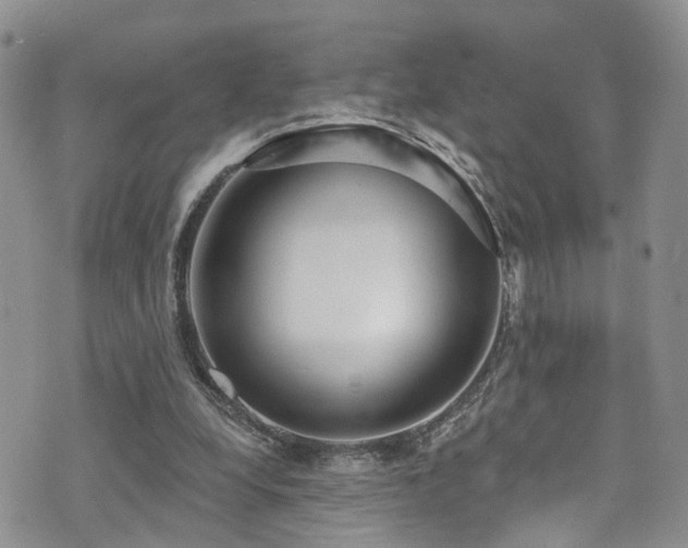 X0000073730248200608031337