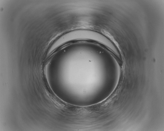 X0000073730249200608031337