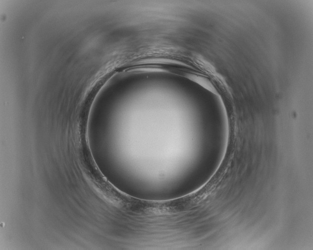 X0000073730250200608031337