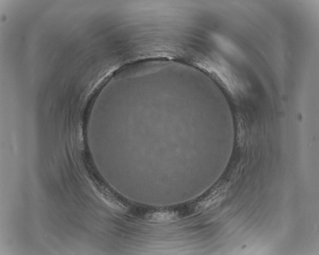 X0000073730251200608031337