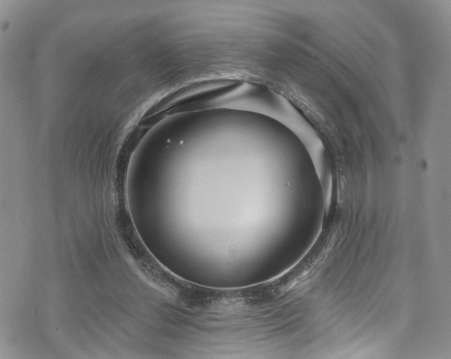 X0000073730252200608031337