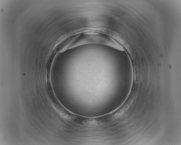 X0000073730253200608031337