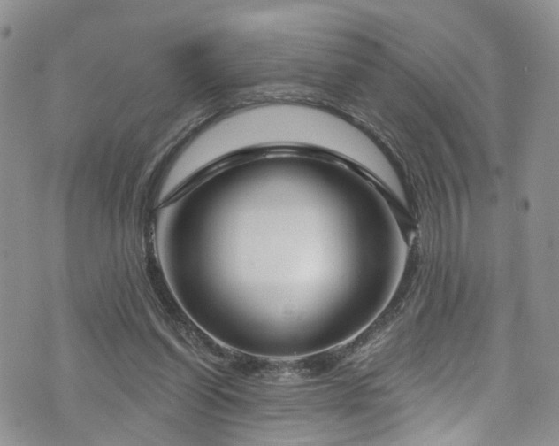 X0000073730254200608031337