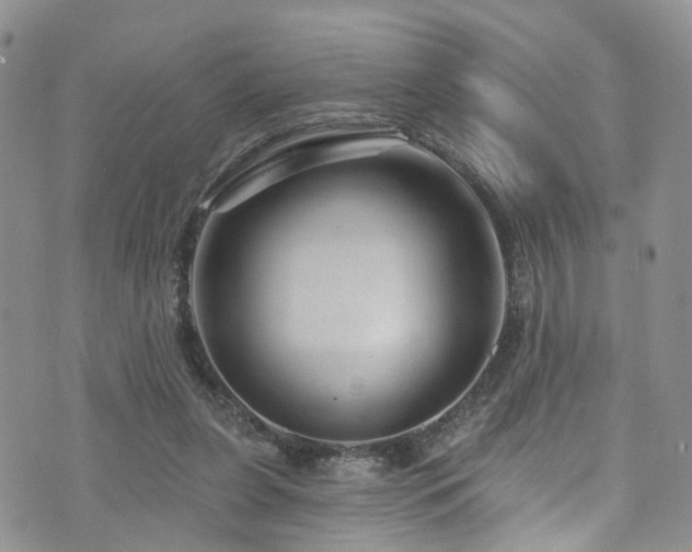 X0000073730255200608031337