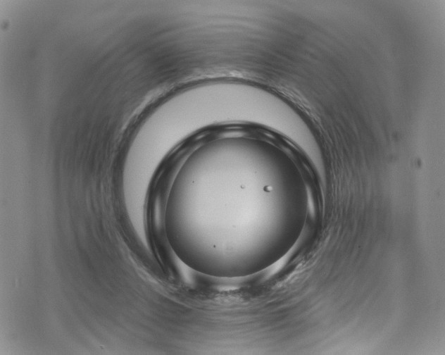 X0000073730256200608031337