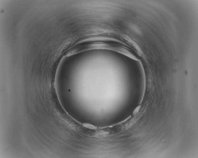 X0000073730257200608031337