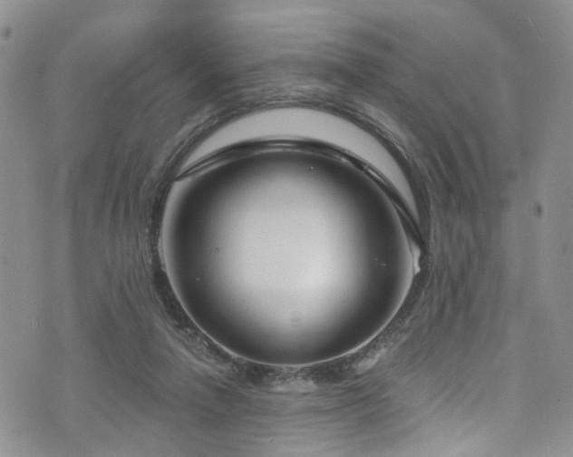 X0000073730258200608031337