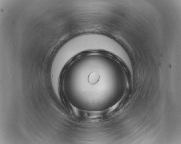 X0000073730260200608031337