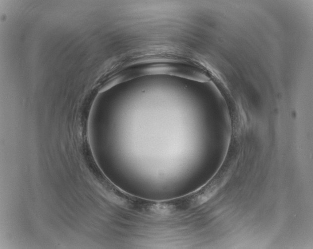 X0000073730261200608031337