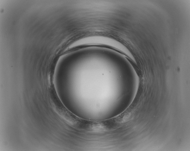 X0000073730262200608031337