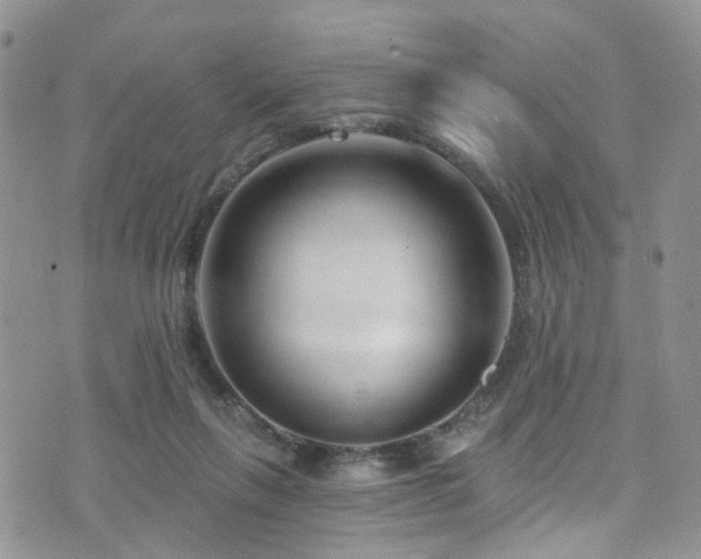 X0000073730263200608031337