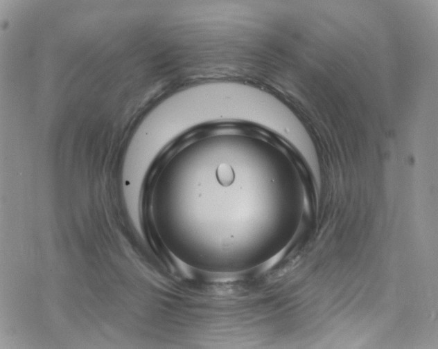 X0000073730264200608031337