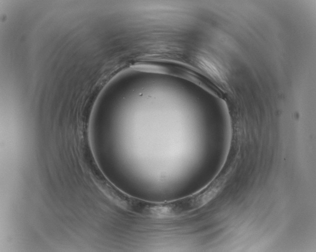 X0000073730265200608031337