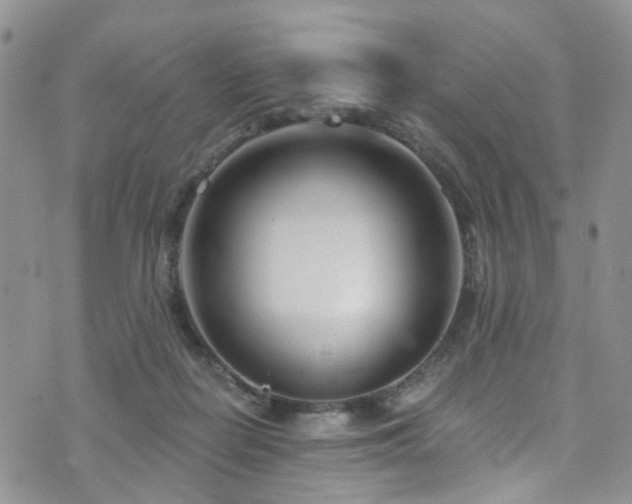 X0000073730266200608031337