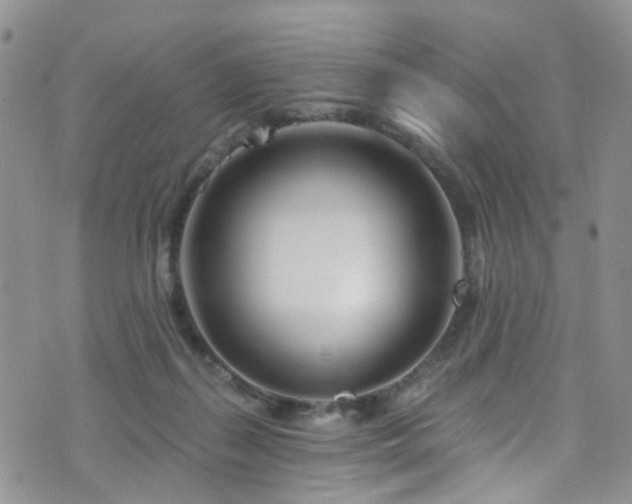 X0000073730267200608031337