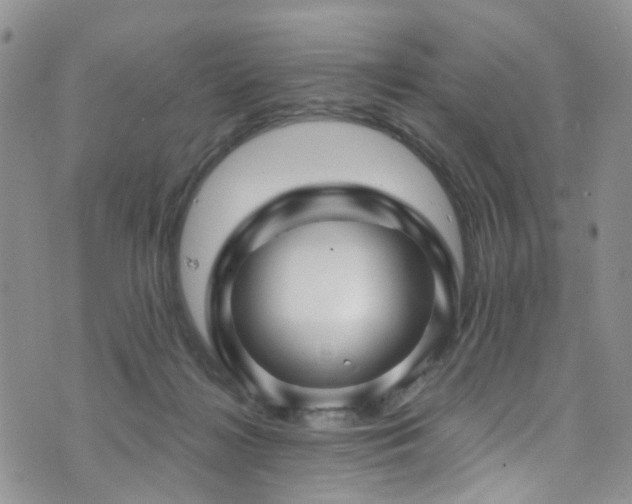 X0000073730268200608031337