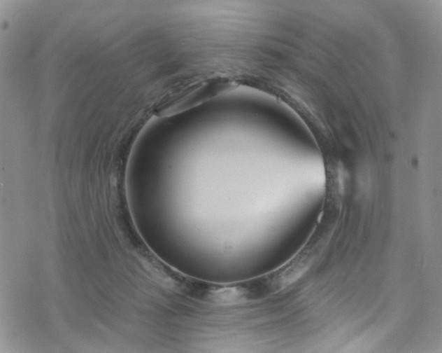 X0000073730269200608031337