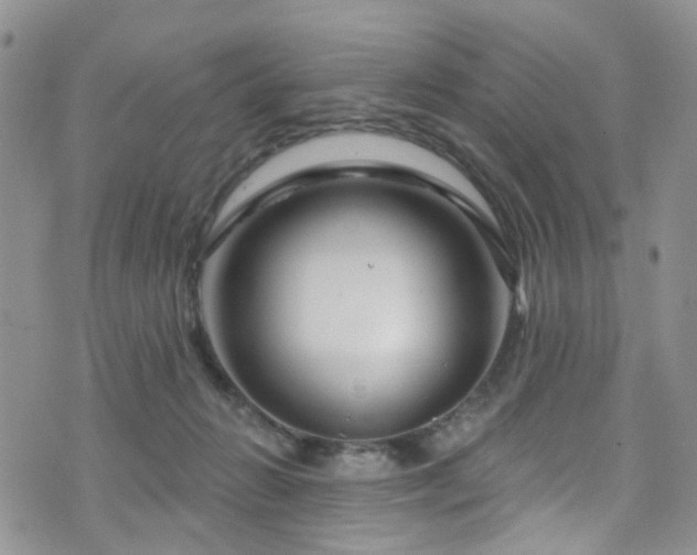 X0000073730270200608031337