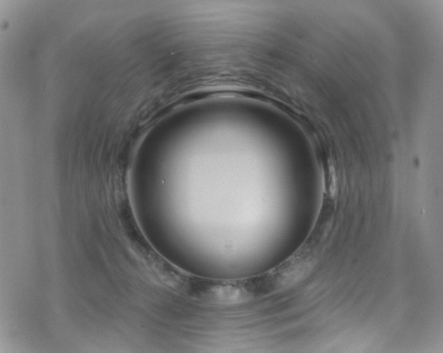 X0000073730272200608031337