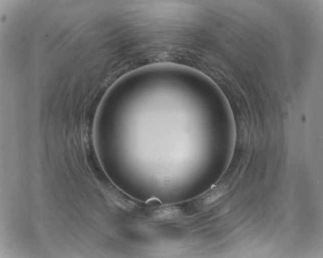 X0000073730274200608031337