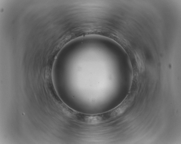 X0000073730277200608031337