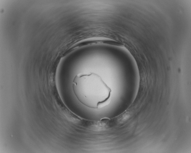 X0000073730278200608031337