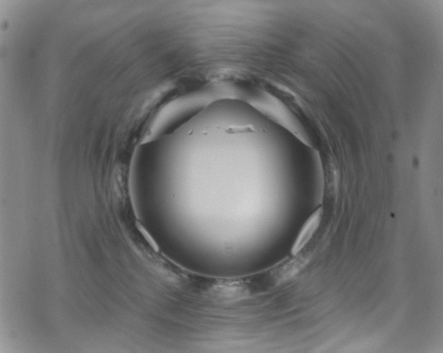 X0000073730280200608031337