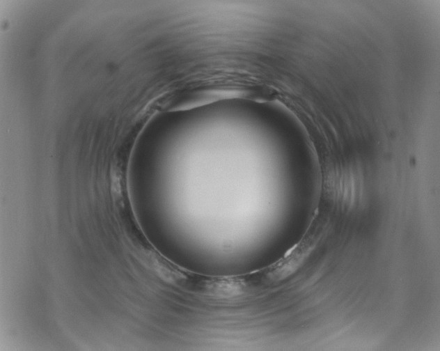 X0000073730282200608031337