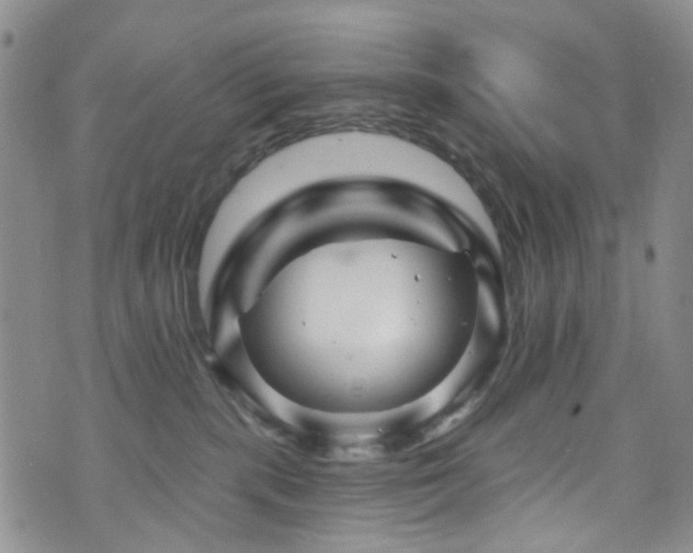 X0000073730283200608031337