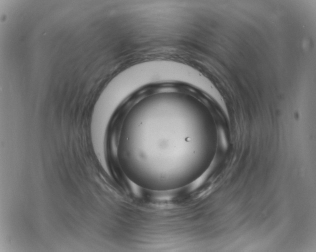 X0000073730284200608031337