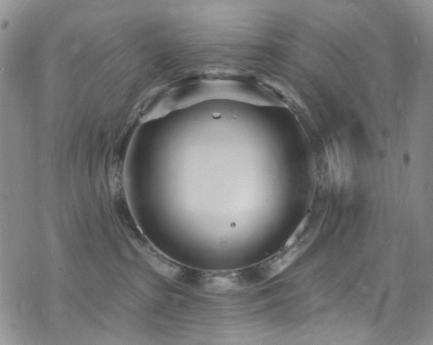 X0000073730285200608031337