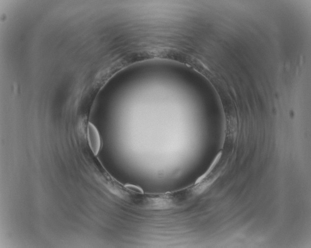 X0000073730286200608031337