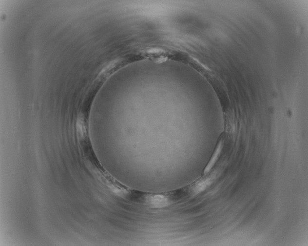 X0000073730287200608031337