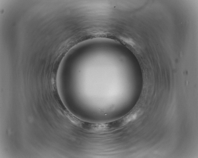 X0000073730288200608031337