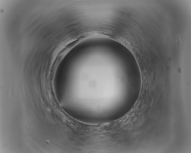 X0000073730289200608031336