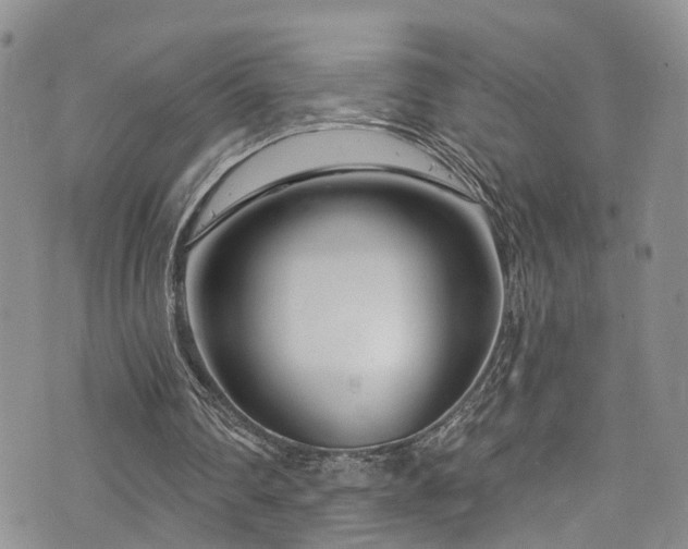 X0000073730290200608031336