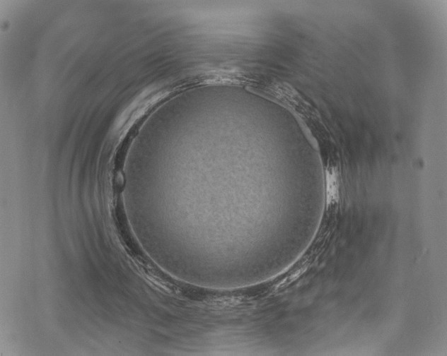 X0000073730291200608031336