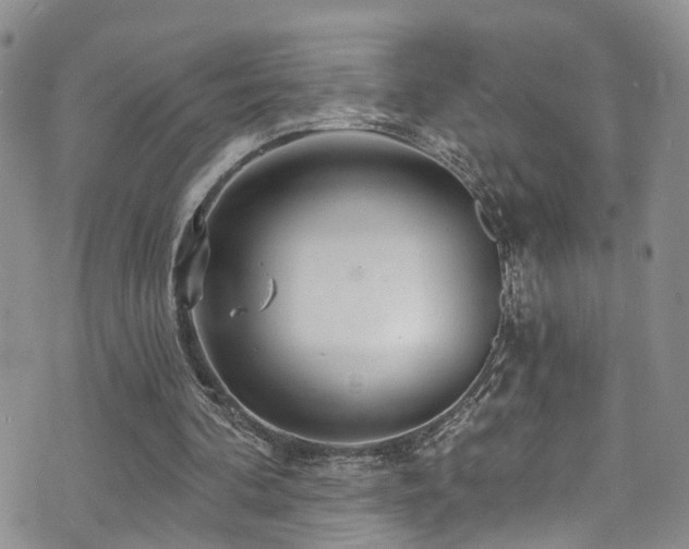 X0000073730292200608031336