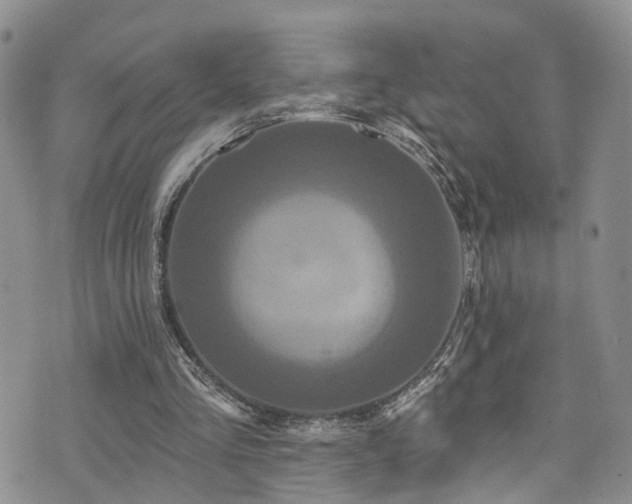 X0000073730293200608031336