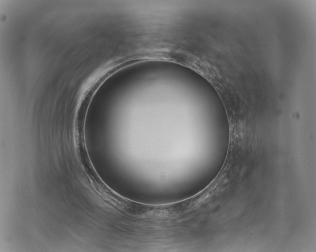 X0000073730294200608031336