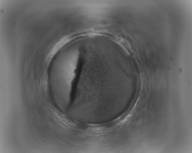 X0000073730295200608031336