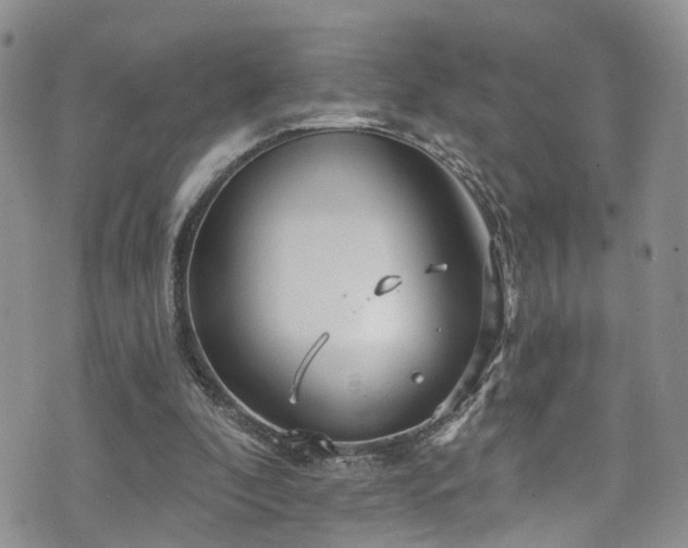 X0000073730296200608031336