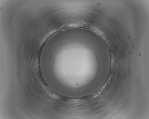 X0000073730297200608031336