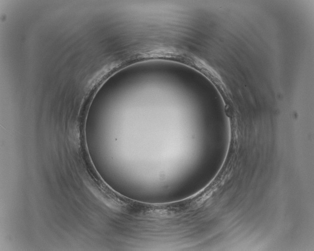 X0000073730298200608031336