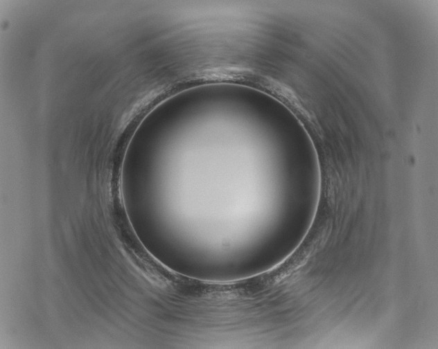 X0000073730299200608031336