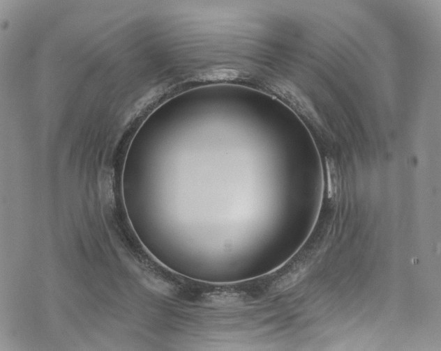 X0000073730300200608031336