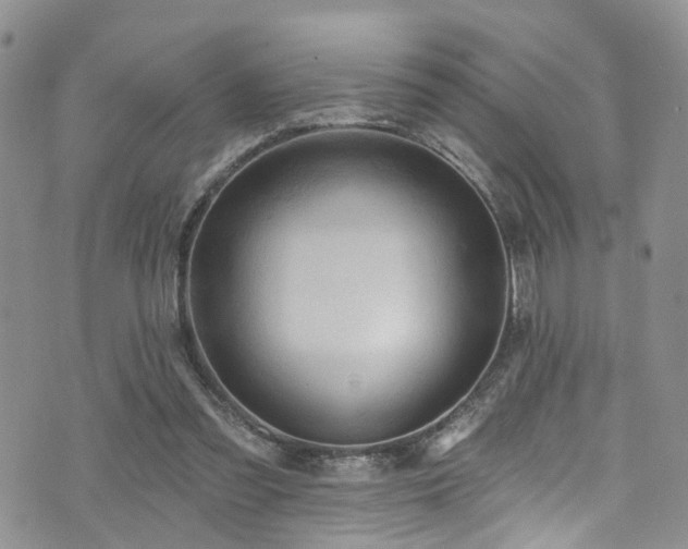 X0000073730301200608031336