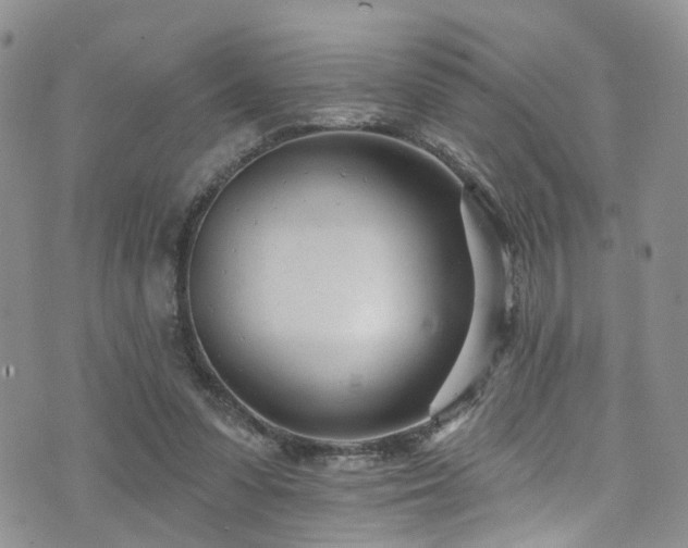 X0000073730303200608031336